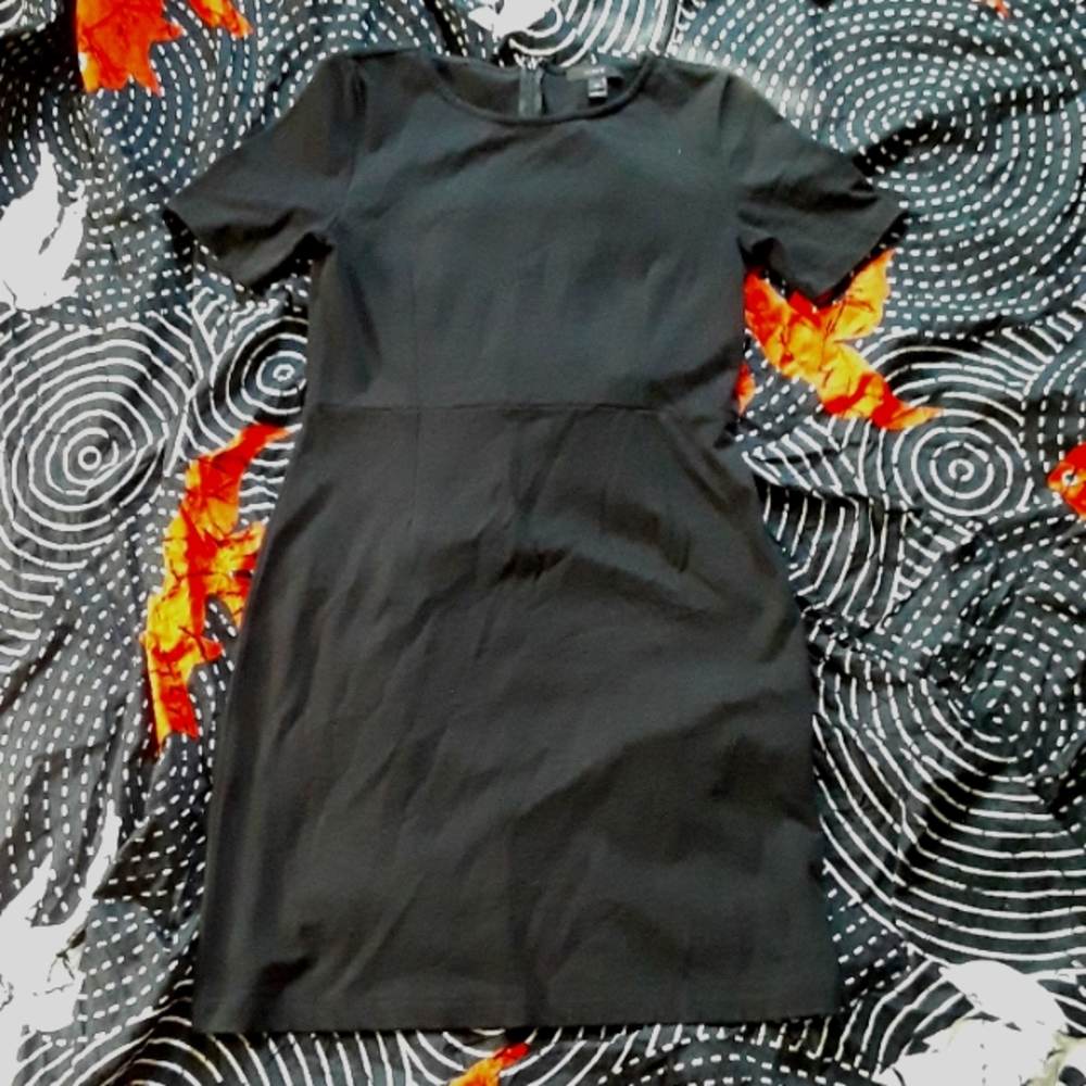 J. CREW knit day dress